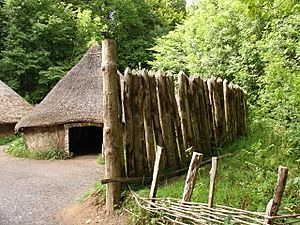 Archivo:St Fagans Celtic village palisade