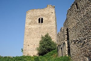 Archivo:Torre castillo Peñafiel