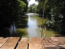 Tres Amigos (Tree Friends) river, Costa Rica.jpg