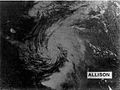 Tropical Storm Allison (1989).JPG