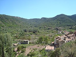 Archivo:Valle de Olba (Teruel, Aragón)