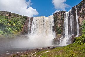 Venezuela - Gran sabana - Salto Aponwao.jpg
