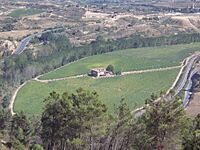 Archivo:Viña Paceta - Antigua situación de la aldea de Bilibio