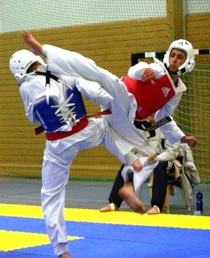 WTF Taekwondo 1.jpg