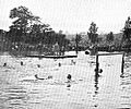 WaterPolo 1900
