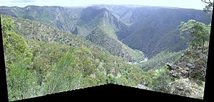 Archivo:Wollomombi view
