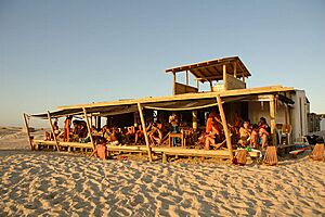 Archivo:Wpolonio 2005 028