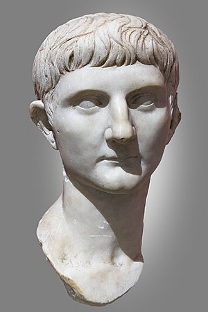 (Toulouse) Portrait de Germanicus - Musée Saint-Raymond Ra 342 c.jpg