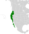 Aphelocoma californica map
