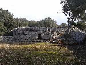 Archivo:Binifat 2