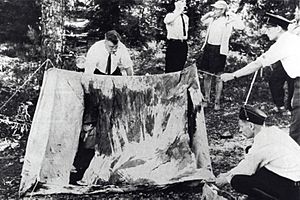 Archivo:Bodom-1960-teltta