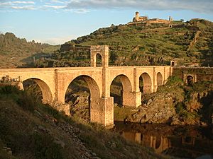 Archivo:Bridge Alcantara