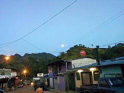 Calle central.jpg