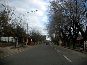 Archivo:Calle rosas