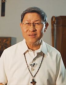 Archivo:Cardinal Luis Antonio Tagle Sambuhay 2019
