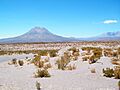 Cariquima - panoramio