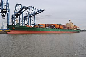 Archivo:Carpathia Unloading at Tilbury docks - geograph.org.uk - 2091919