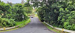 Carretera PR-7775, Cidra, Puerto Rico (2).jpg