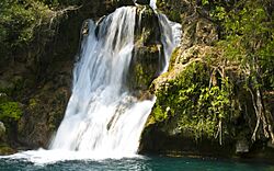 Cascada De Tamasopo.jpg