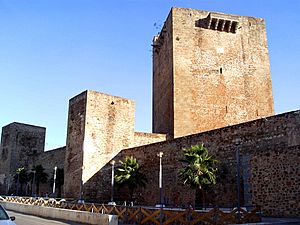 Archivo:Castillo de Olivenza