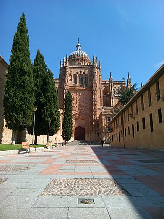 Catedral vieja de santa maria salamanca camino albergue.jpg