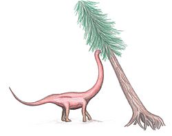 Cetiosauriscus restoration.jpg