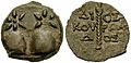 Colchis coin