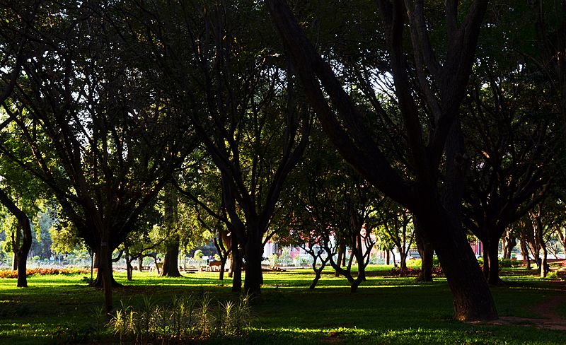Cubbon Park W