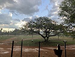 Día de lluvia en la comunidad Santo Corazón -ANMI San Matías.jpg