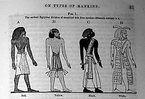 Archivo:Four-'species'-of--Egypt