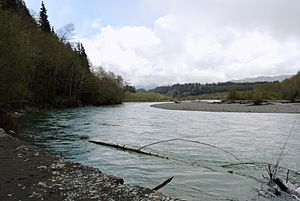 Archivo:Hoh river in spring