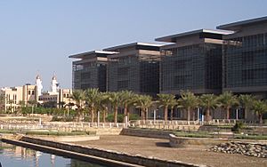 Archivo:KAUST laboratory buildings and town mosque