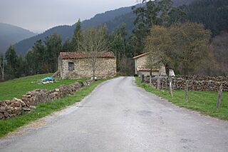 LaParada02.jpg