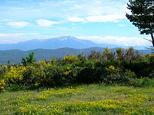 Archivo:Le Canigou 30-05-2006
