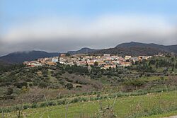 Lei, panoramo mezbonvetera.jpg