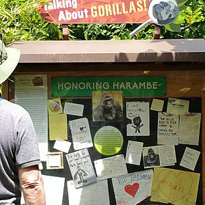 Archivo:Memorial to Harambe