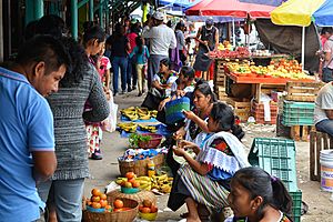 Archivo:Mercado Belisario Dominguez - Ocosingo, Chiapas - 12