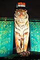 MofO Tiger