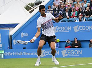 Archivo:Novak Djokovic Eastbourne tennis 2017-136 (35585069326)