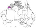 Nyulnyulan languages