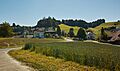 Ohmstal Juni 2020 Bild 1 (cropped)