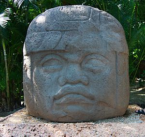 Archivo:Olmeca head in Villahermosa