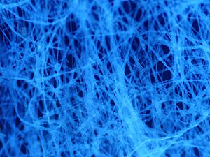 Archivo:PaperAutofluorescence