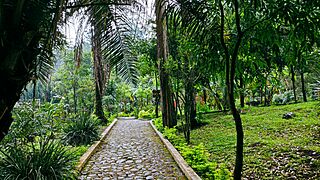 Parque Nacional Naciones Unidas - 51367383420