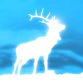 Archivo:Patronus