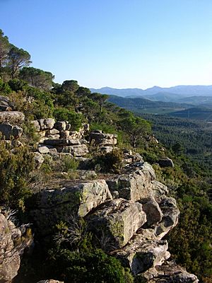 Archivo:Penya la Cagà, Dehesa de Soneixa