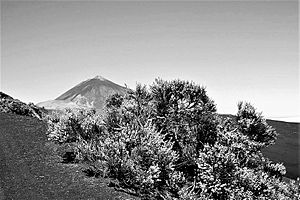 Archivo:Pico El Teide - Tenerife, Islas Canarias