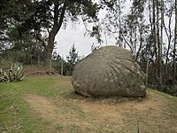 Archivo:Piedra del Sol San Pedro de Alcántara Chile 02