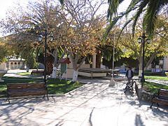 Plaza de canela