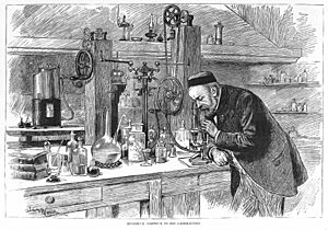 Archivo:Portrait of Louis Pasteur in his laboratory Wellcome M0010355